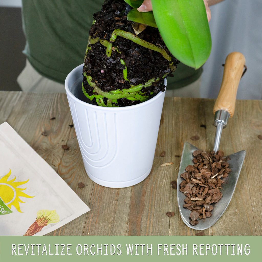 100% Organic Orchid Potting Bark - SSVarOrchidO