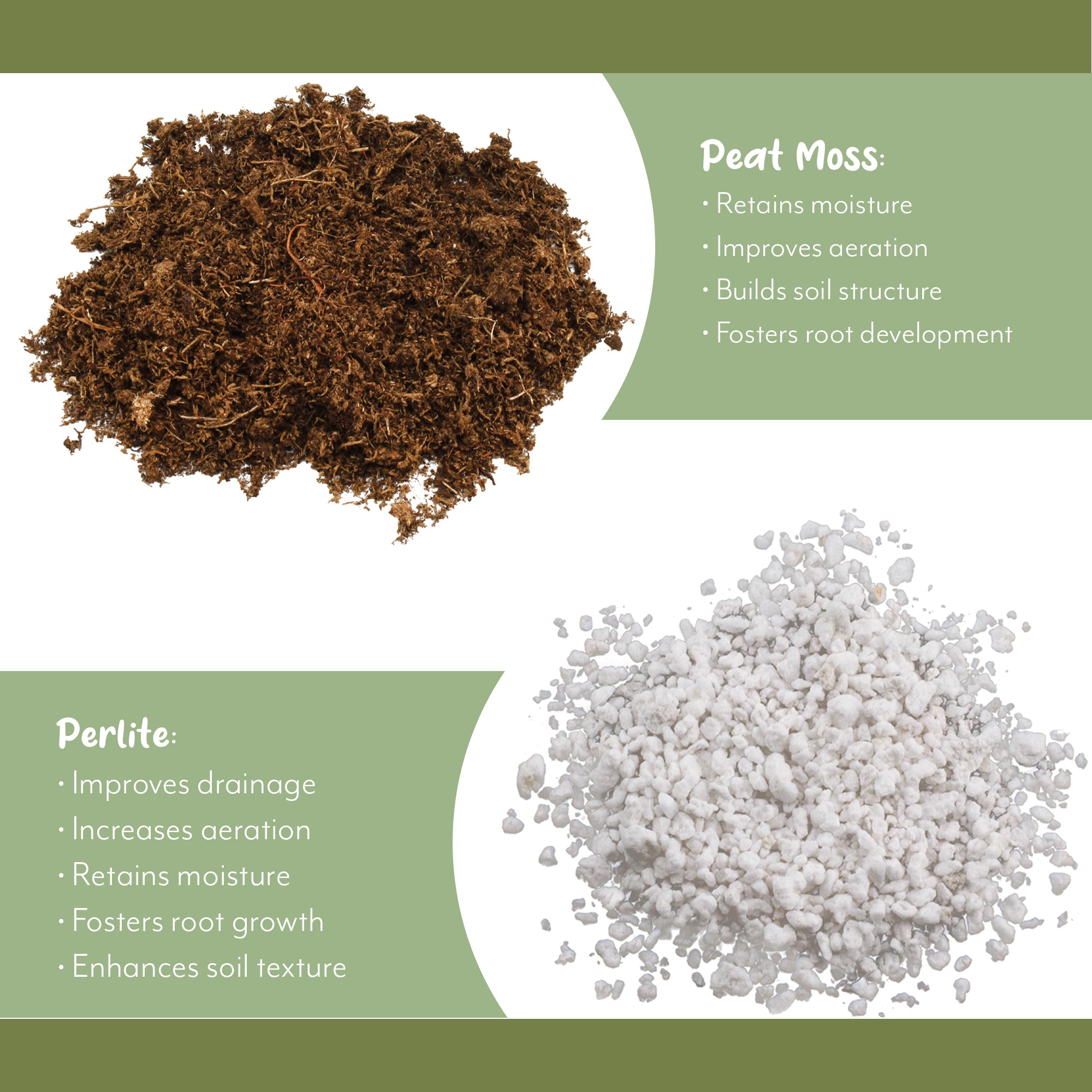 potting soil for palm plants Palm Tree Potting Soil (8 Quarts), All Purpose Mix for Growing Indoor Palm Plants – Kurated Korner