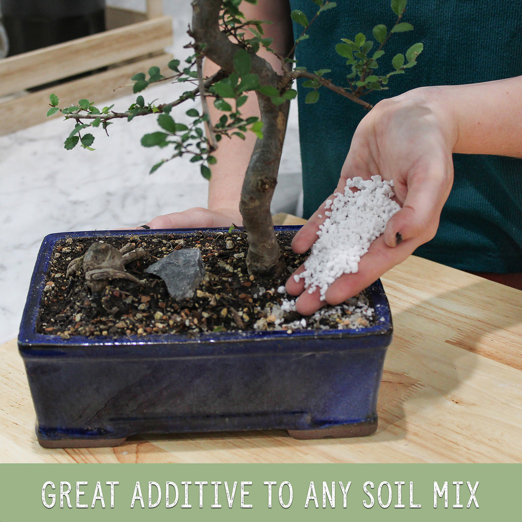 Horticultural Perlite Soil Additive (2 Quarts) - SSKIT121
