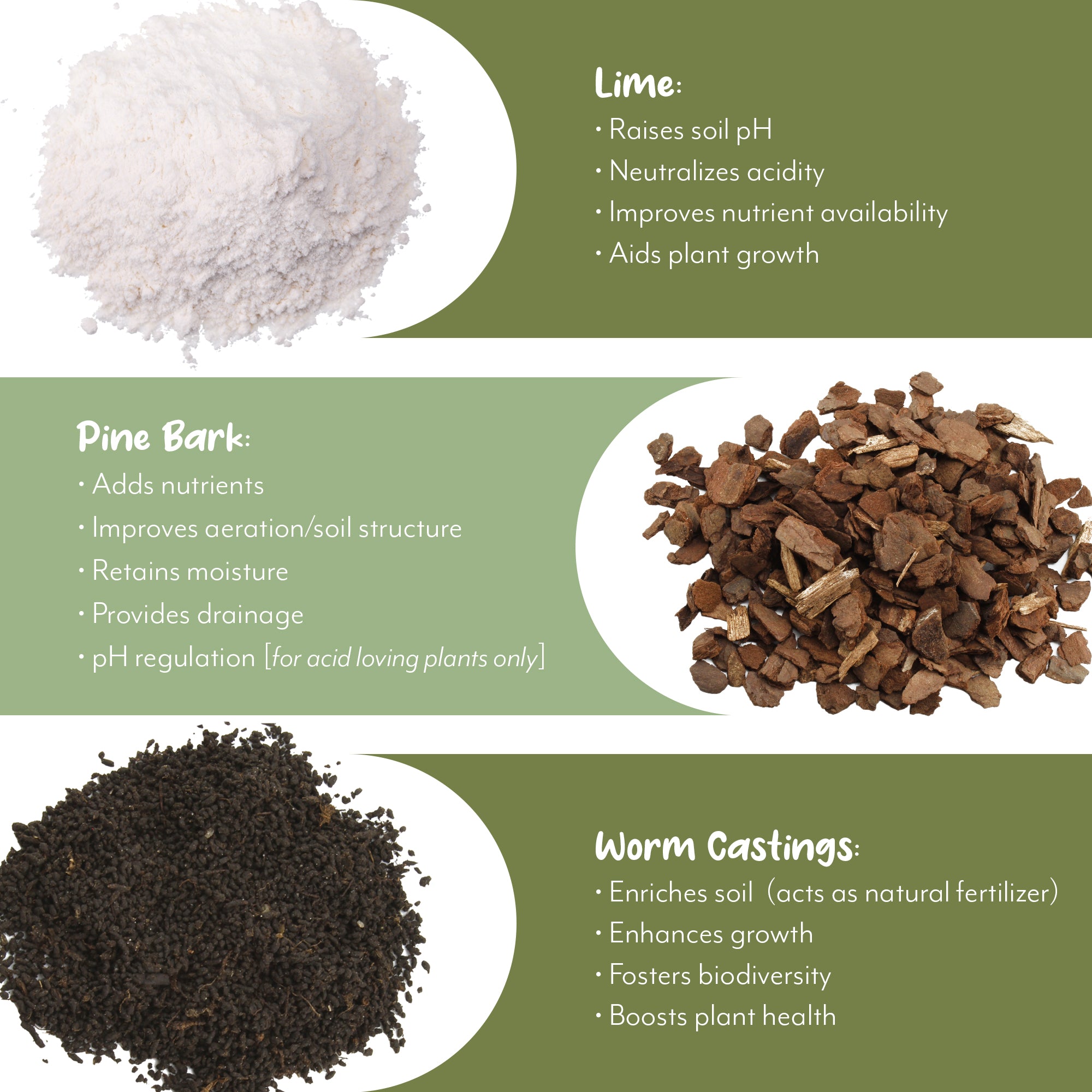 potting a philodendron Philodendron Plant Potting Soil Mix