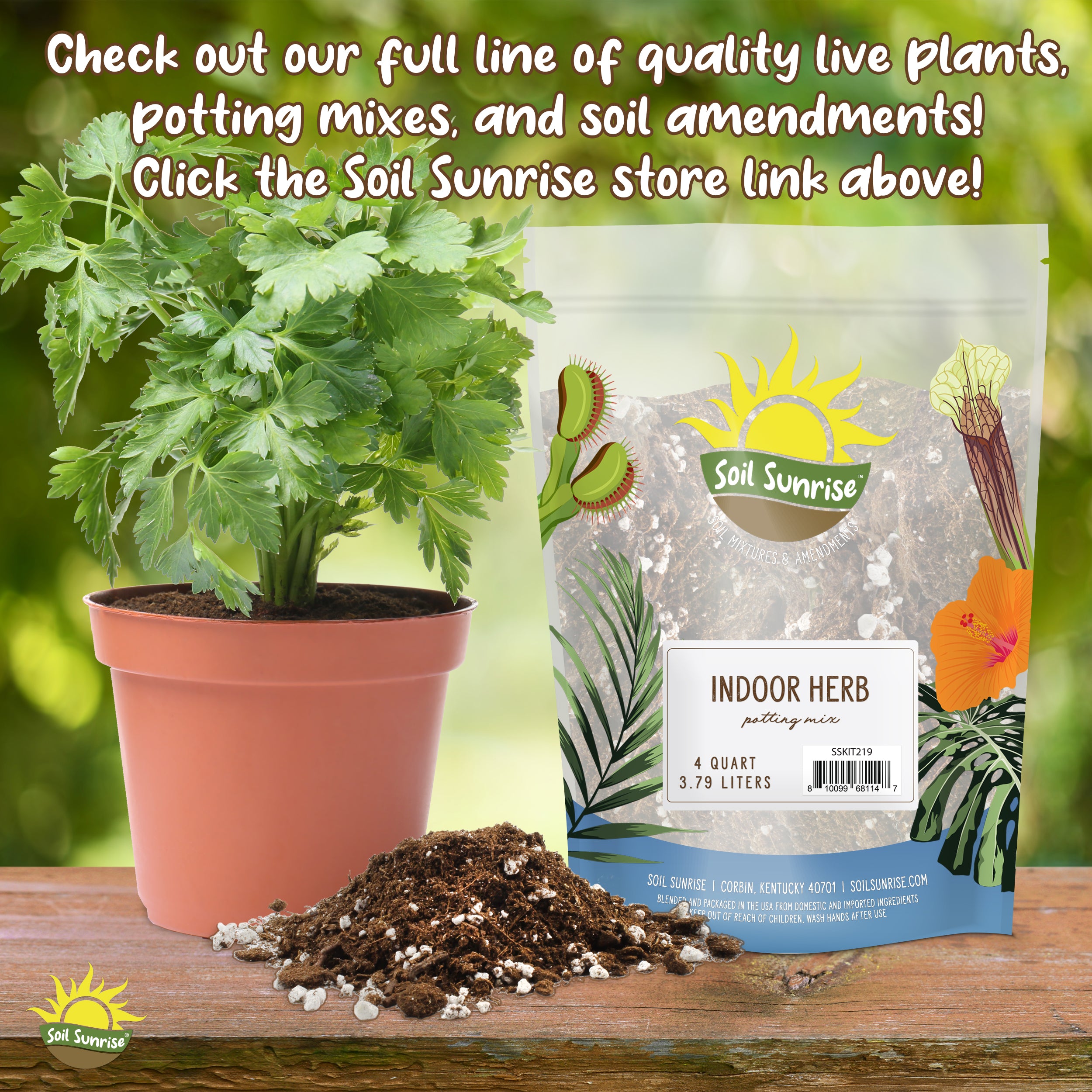 money tree soil Money Tree Potting Soil Mix; Custom Blend for Money Plant Container Gardening – Kurated Korner
