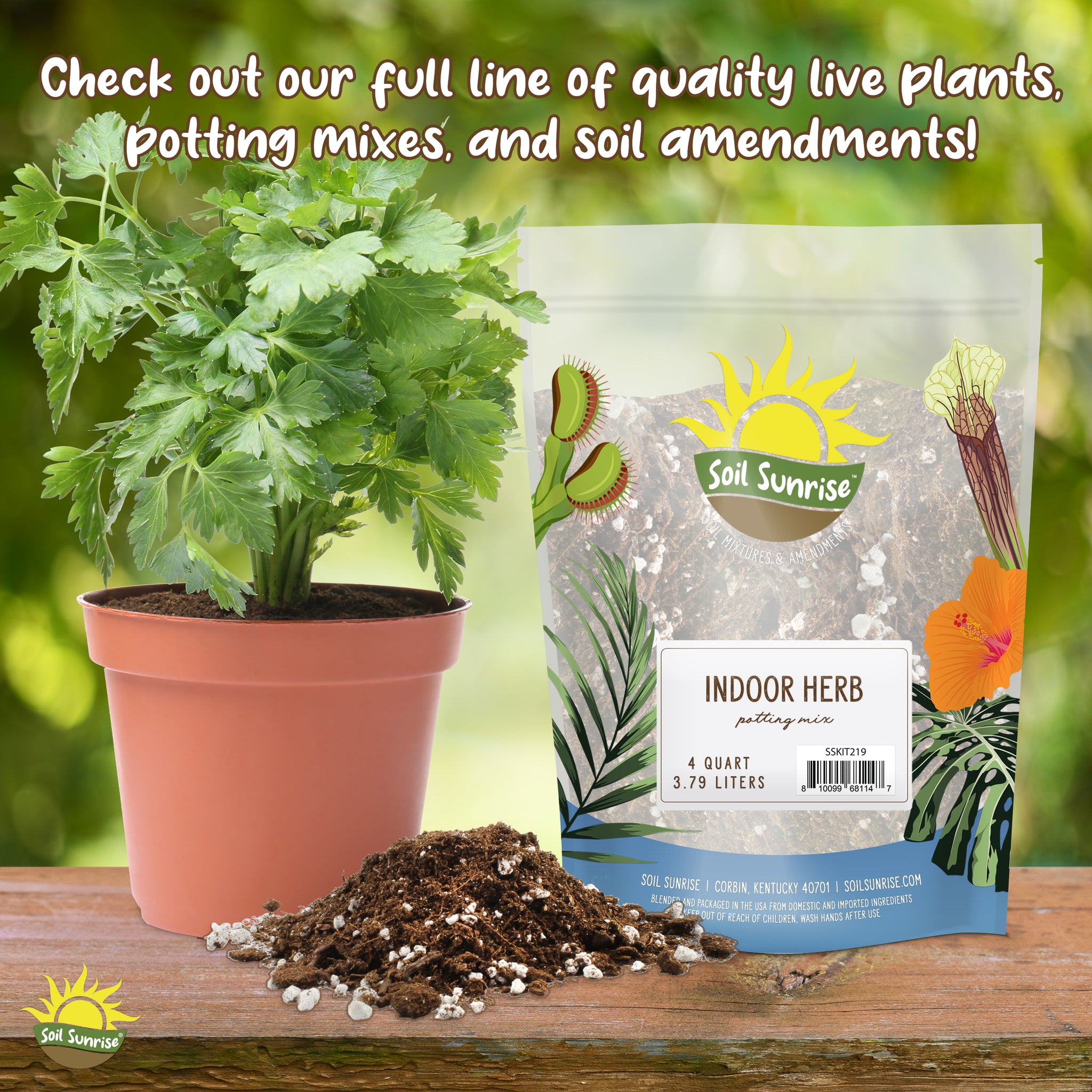 Premium Hardwood Mulch for Houseplants; Shredded Wood Mulch for Indoor /  Outdoor Container Gardening – Kurated Korner